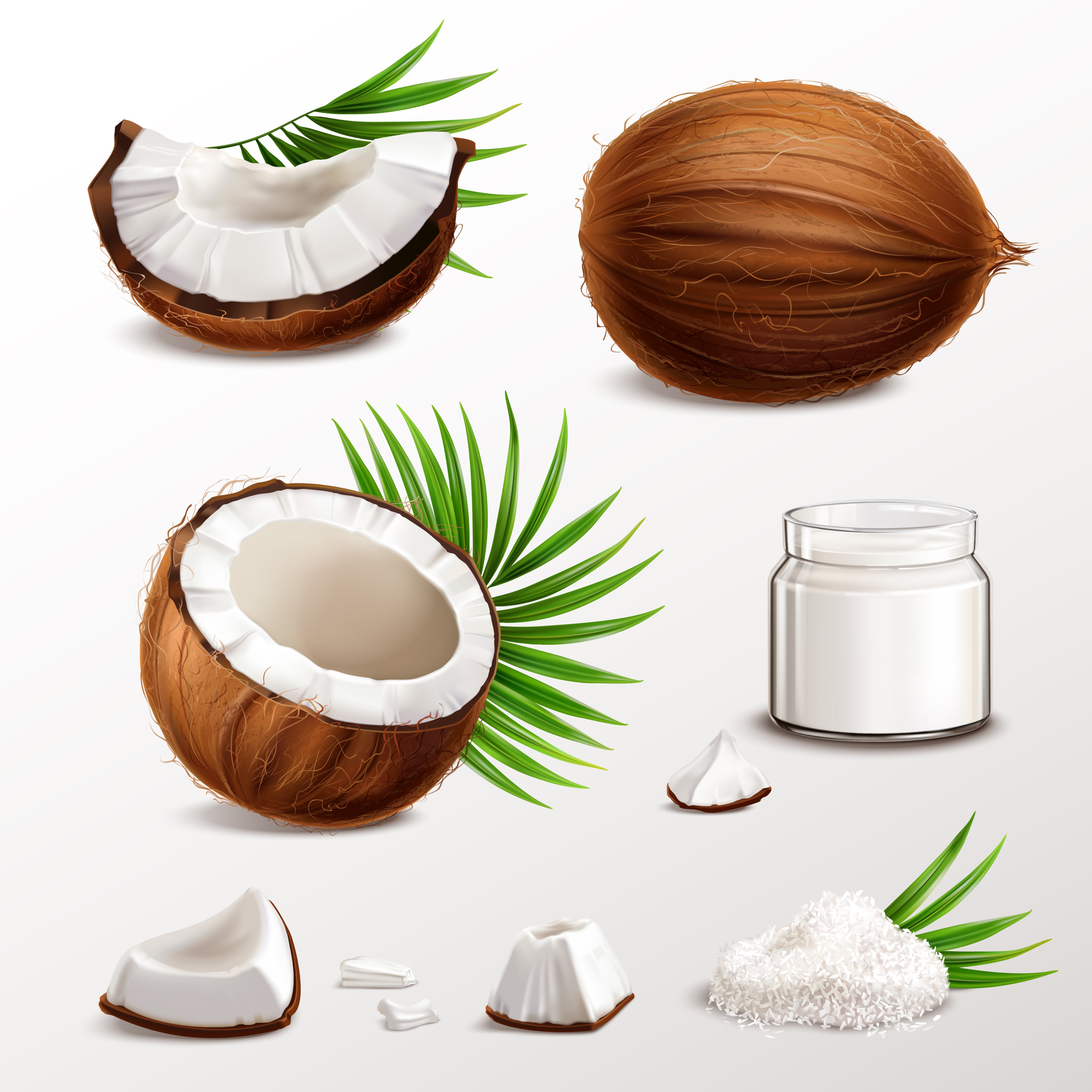 Dry Coconut Powder